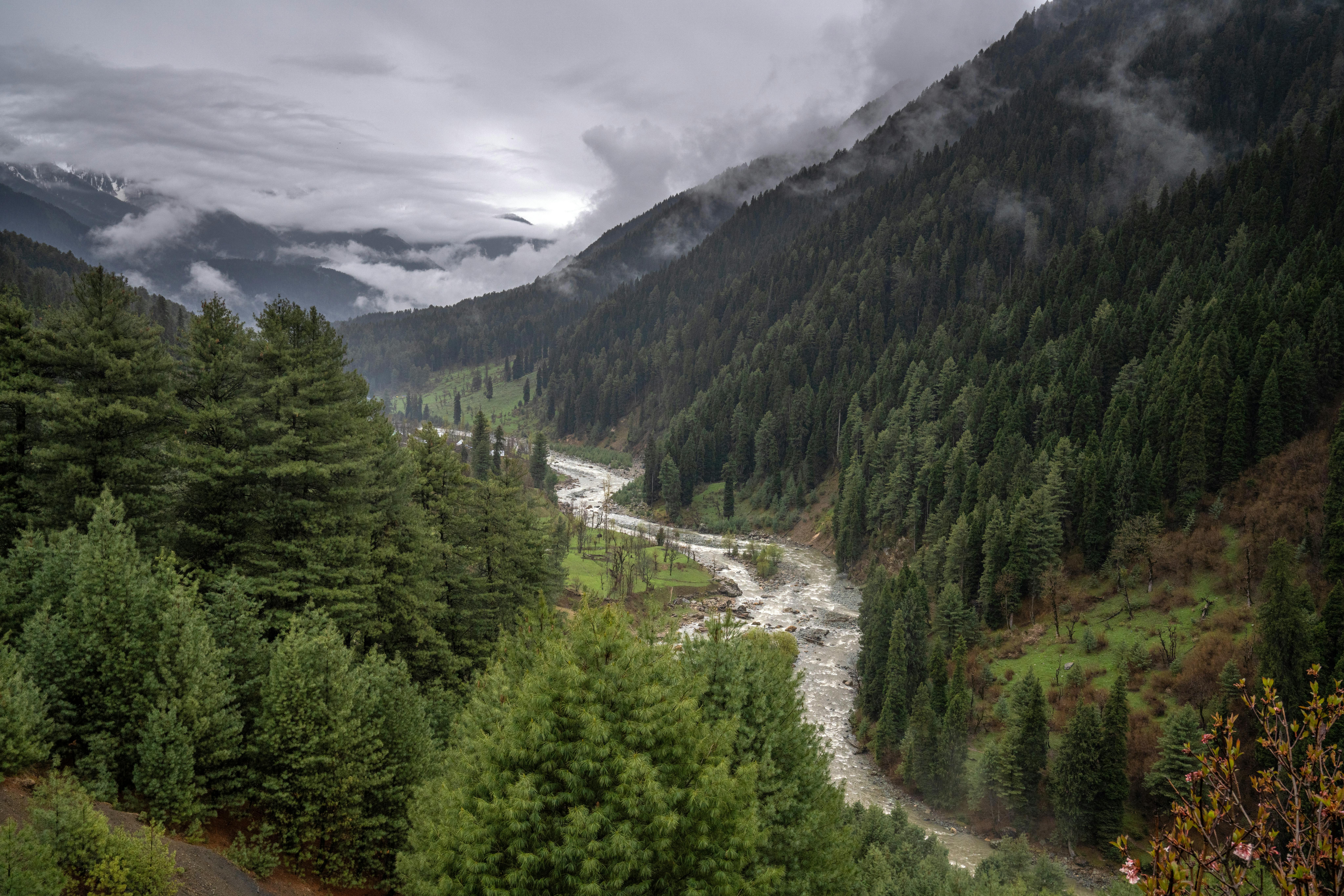 Pahalgam valley