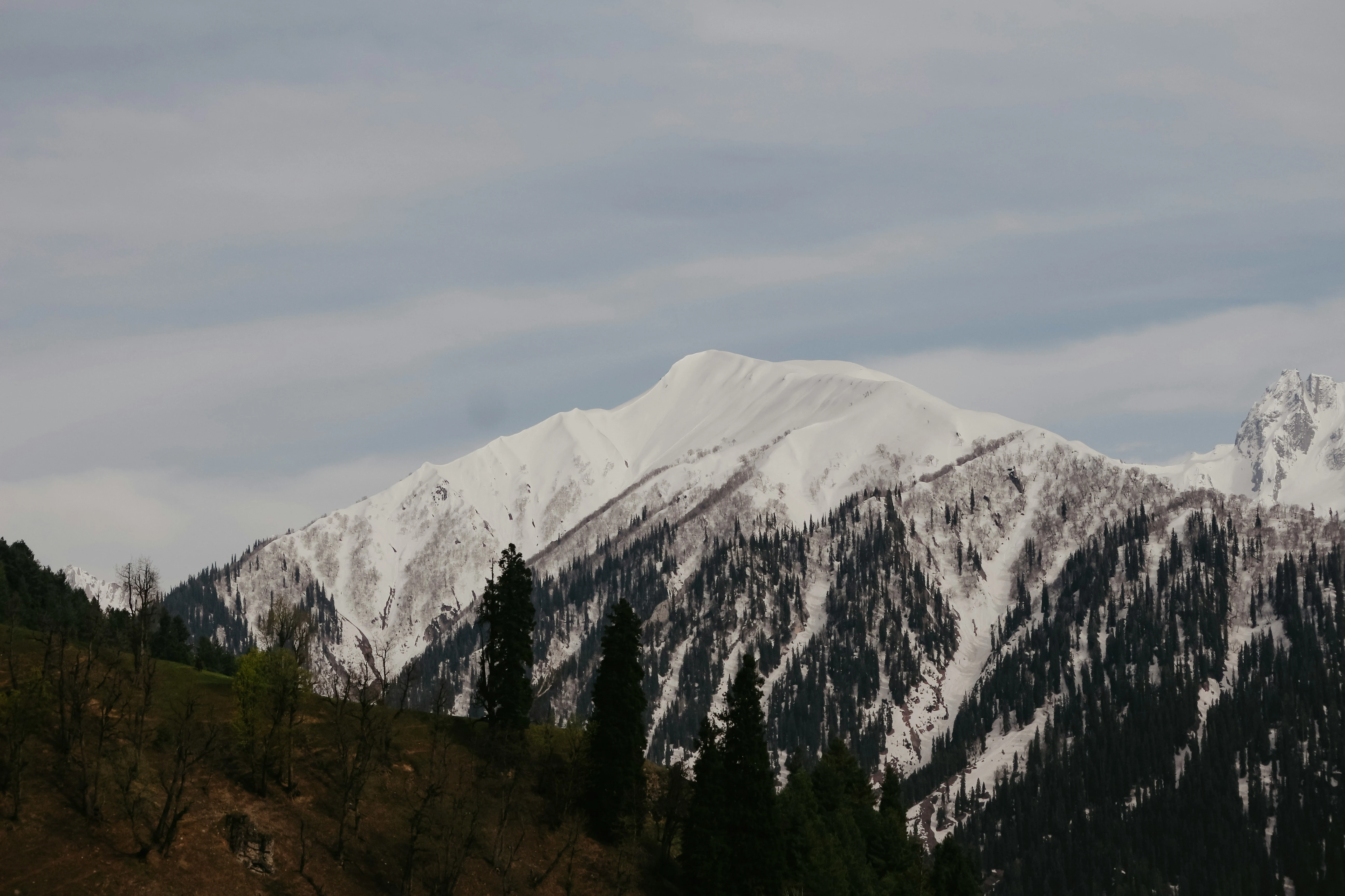 Sonmarg