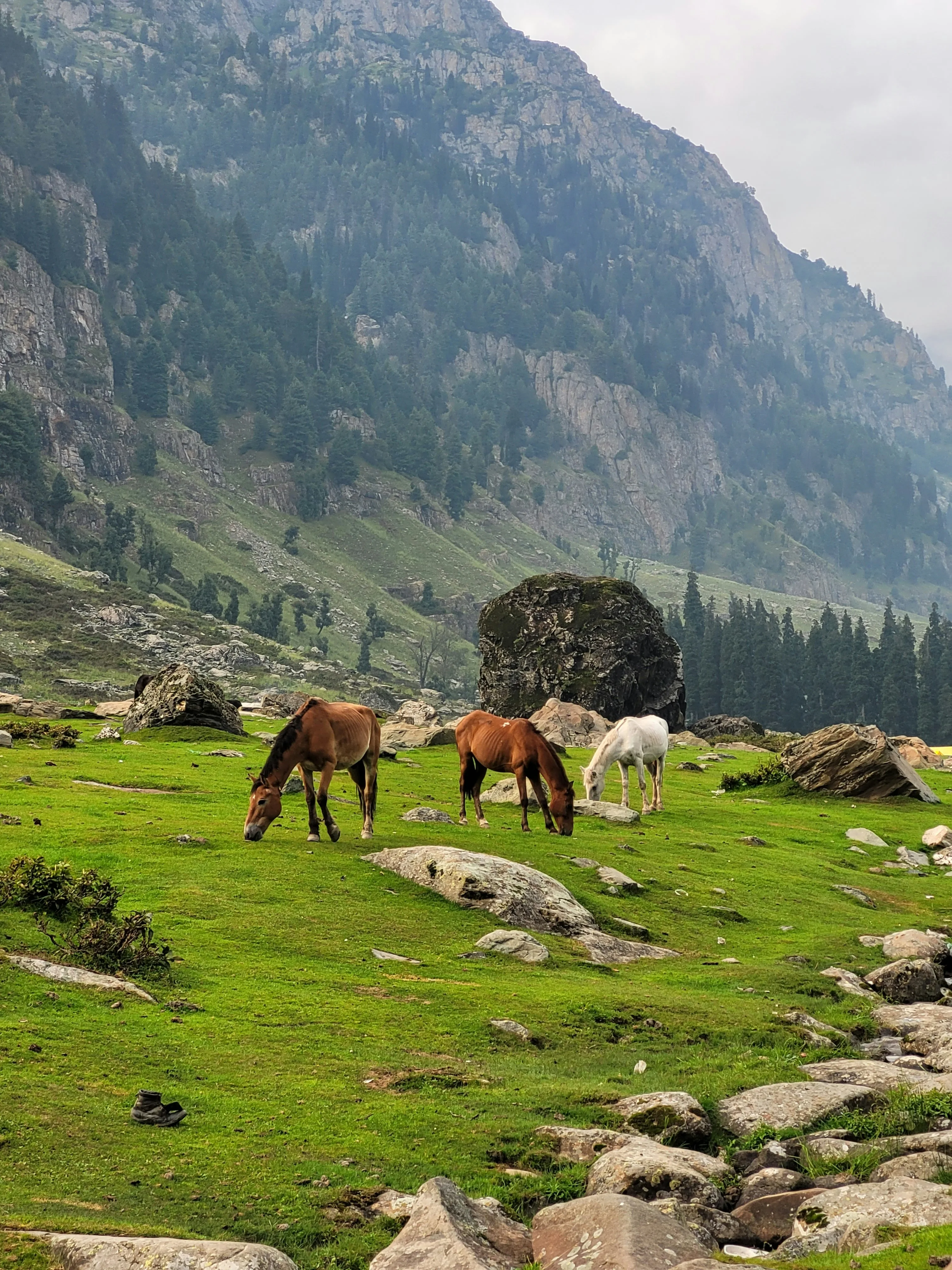 Sonmarg